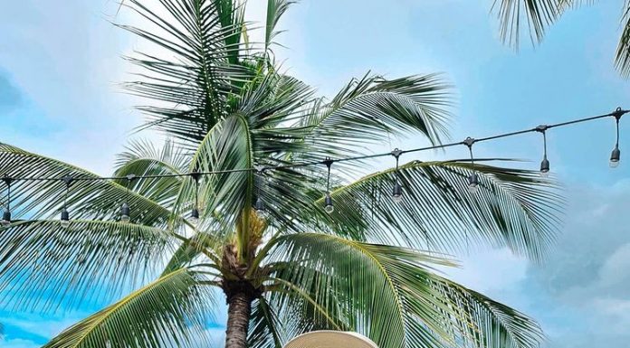 น้องแยมโรล กรณรัชตา เตชะวิจิตรา พริตตี้สาวสวย ที่ดีกรีไม่ธรรมดา น้องแยมโรล กรณรัชตา เตชะวิจิตรา พริตตี้สาวสวย ที่ดีกรีไม่ธรรมดา ที่แซ่บสุดฤทธิ์