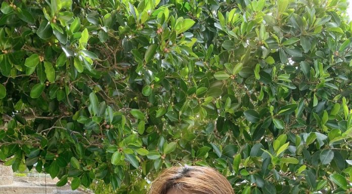 น้องสปอย แม็กซิม นางแบบหน้าหวานแต่ความเซ็กซี่ไม่ธรรมดา